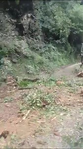 12K views · 102 reactions | Just now. accident nachlana tree fell down on the army vehicle 2 army Jawan injured Jammu Srinagar highway | Awaaz Aur Ehsaas Foundation | Facebook