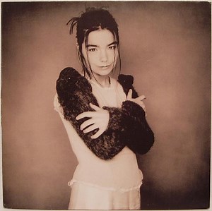 Björk - Human Behaviour