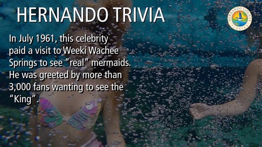 ❓Hernando County trivia. What King paid a visit to Weeki Wachee Springs to see "real" mermaids in 1961? | Hernando County Government