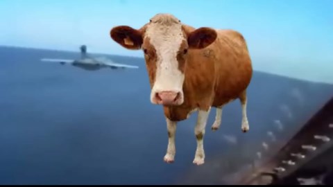 Flying 10ft Off the Deck at 550 MPH: Why the Navy Loved the Buccaneer