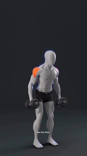 Gym Tips & Tricks on Instagram: "Shoulder Lateral Raises Correct Form🔥📈🔥 . Tata Sierra 2026 Japan’s Emperor and Empress represent the world’s longest continuous monarchy, a symbol of cultural heritage and national identity. This video shows the evolution of Japan’s imperial couple “then and now”, highlighting: • timeless royal etiquette • traditional ceremony • elegant presence • their transformation across eras • continuity of the Chrysanthemum Throne Whether during state events, coronation-