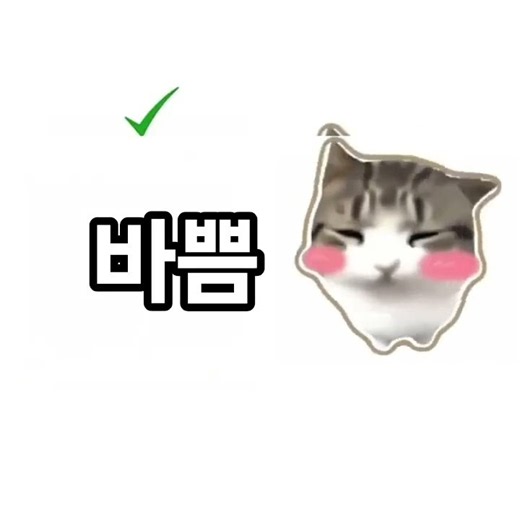 '쁨'으로 끝나는단어