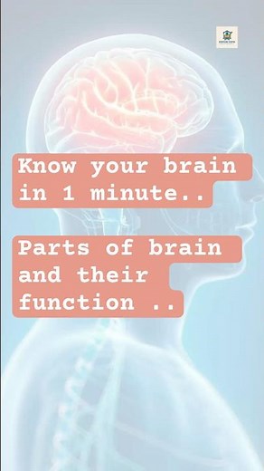 Parts of brain and their Function | brain Parts with function #brain #shorts #biology #science