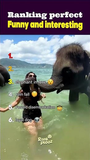 ranking perfect funny😂😂