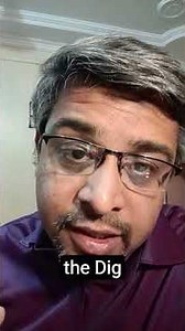 the Dig
