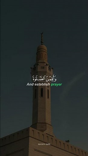 Surah Al ahzab (33:33) #umarsildinsky #quranicvibes #quran #hijab