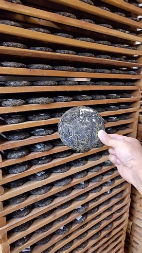 How to Make Pu-erh Tea: Processing Guide