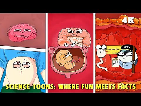 Hilarious Health Cartoons: Pregnancy & Biology Explained! (Part 1) #pregnancy #animation