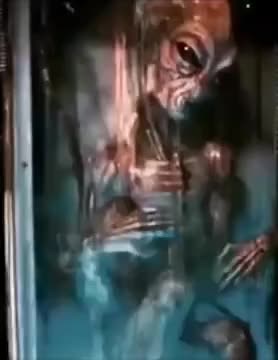 Real Leaked Alien Footage: Unveiling the Unknown