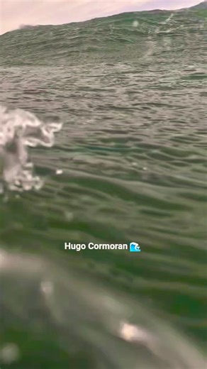 Sensaciones & sonidos mar 🌊 salvaje asmr #youtubeshorts #shorts