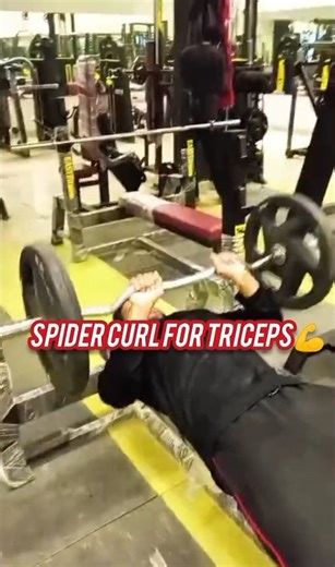 Spider Curl on Bench for Strong Triceps