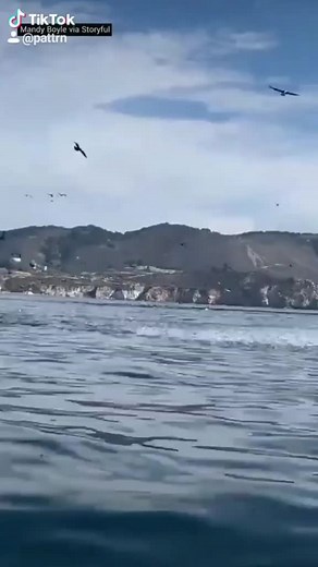 #whatilearned#cozyathome#2020rewind#yearontiktok#natureathome#enviorment#raisedby#newyearnewMiO#toptalks#thiscouldbeus