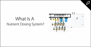 What Is A Nutrient Dosing System?