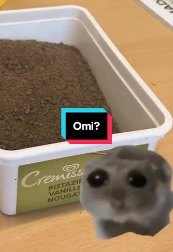🧼 Die Industrie wirft ihn weg – doch wir lieben Presskuchen. Ob in unserer Seife, für Scrub-Massagen oder einfach zum Experimentieren – wir sehen im Pressrückstand keinen Abfall, sondern Potenzial. 🌱 Wenn du uns dabei unterstützen willst, nachhaltige Lösungen zu entwickeln folge dieser Link: https://www.startnext.com/lipid-legends