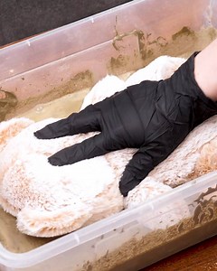 52K views · 145 reactions | Teddy bear Decor | Crafty Panda | Facebook