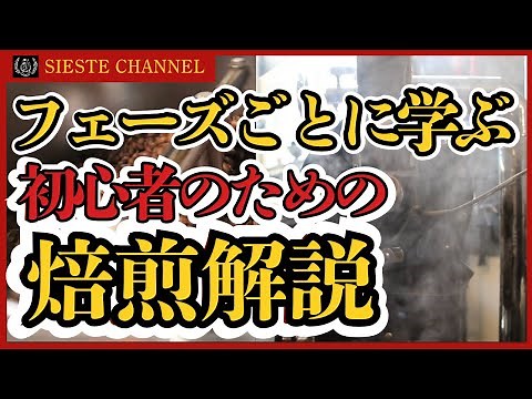 【焙煎解説】フェーズごとに学ぶフジローヤルR101の焙煎方法【初心者入門】