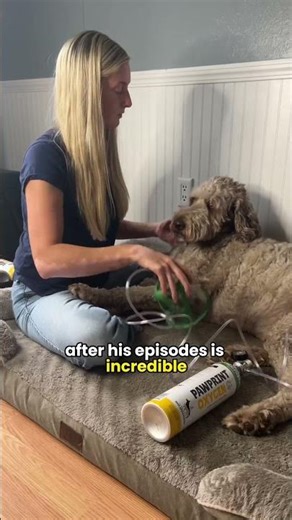 Using Oxygen for Pet Seizures