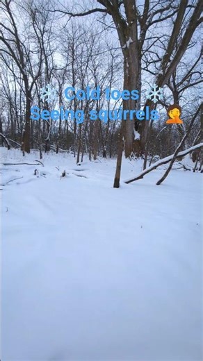 Muzzleloading core #fypシ #hunting #deerhunting #deer #deerseason #fypシ゚viral #fyp #shootingsports