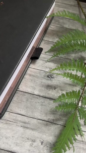 #popularwicked #journaling #bujosetup #howto #bujoinspiration #bujo2023 #viral