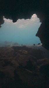 Mermaid discovers a cave ✨ #fantastycreature #professionalmermaid #mermaidtail #barbiemermaid #mermaidcore #mermaid mermaid tail by Merbella Studios Inc. | Mermaid Sirenity