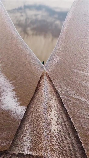 Running with the tide. 🌊🏃‍♂️ At the Qiantang River, the man races alongside the roaring tidal bore — power, speed, and awe in one moment. #QiantangRiver #TidalBore #NaturePower #ChinaVibes | Embassy of The People's Republic of China in the United States