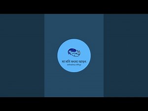 মা মনি মৎস্য আড়ৎ