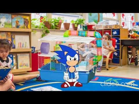 Team Sonic save Mega Opthomas prime incomplete