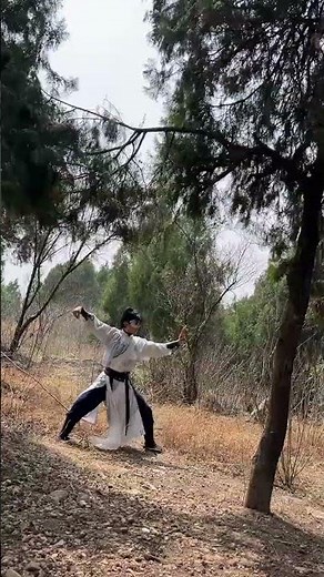 Master Jet Li's Tai Chi Secrets in the Mountains
