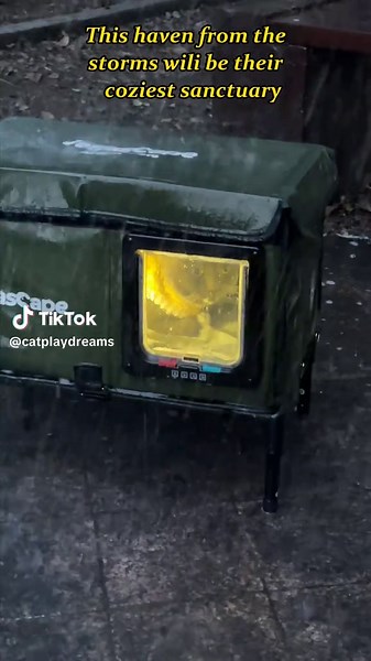 Unboxing the Heated Cat Bed: A Transformation