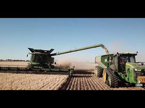 Australian Grain Harvest 2018