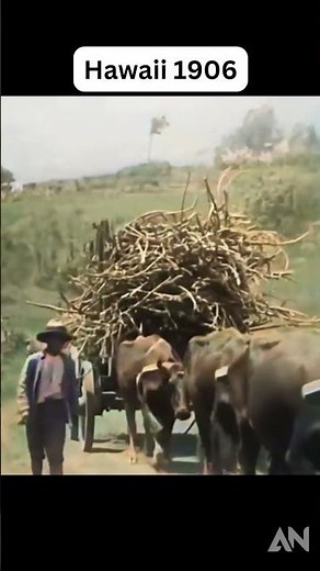Hawaii in 1906: A Rare Glimpse Into Island Life Over a Century Ago