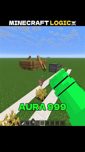 Minecraft physics said no ☠️