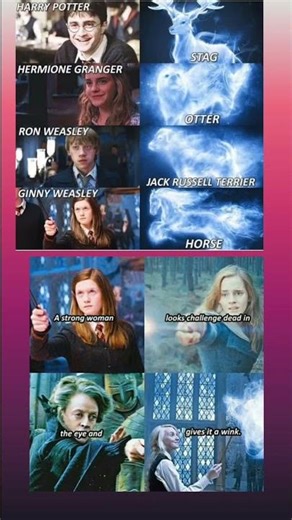 Magical Patronus Moments in Harry Potter ✨ Strong Women & Loyal Friends 💫 #HarryPotter #memes #viral