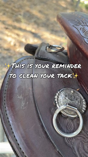 1.7K views · 25 reactions | This is your reminder to clean your...