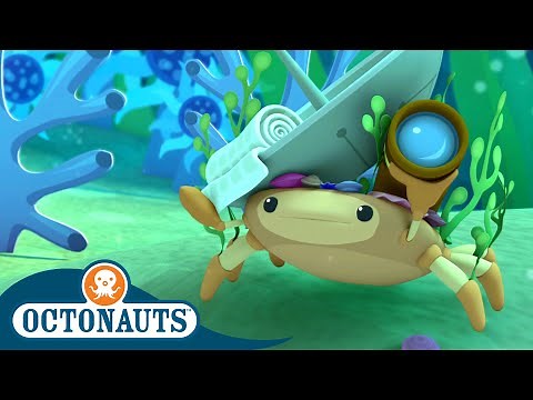 Octonauts - The Decorator Crab and Giant Squid | Cartoons for Kids | Underwater Sea Education