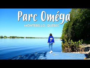 VLOG CANADA | JE VISITE LE PARC OMÉGA AU QUÉBEC !