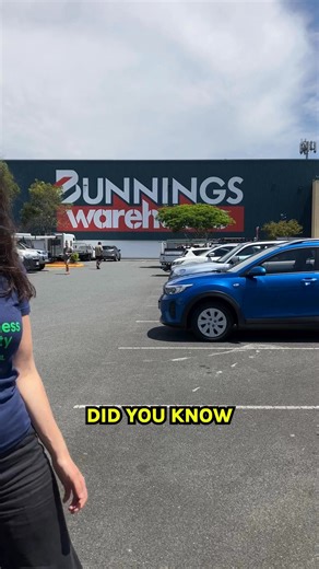 Did you know Bunnings sells timber from destructive logging operations in Australia’s native forests? 🪵 Bunnings claims to source responsibly, but customers deserve to know the truth about where some of its timber products come from. If you don’t want your next DIY project to cost Australia’s native forests, tell Bunnings to stop selling timber from Australian native forest destruction. | The Wilderness Society