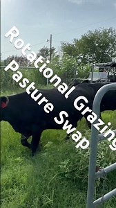 Rotational Grazing. Regenerative Ranching