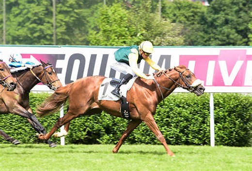 Pronostics Zeturf : Prix du Chateau de Meudon à Saint Cloud - Mardi 10 Mars 2026