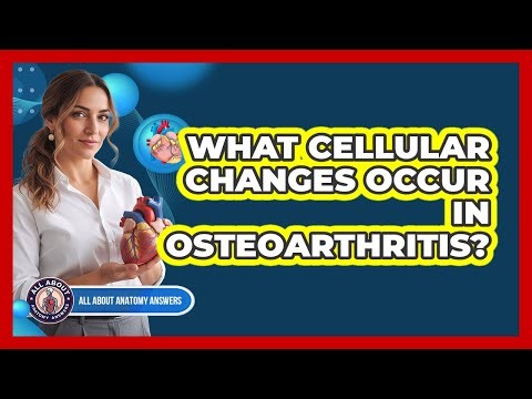 What Cellular Changes Occur In Osteoarthritis?