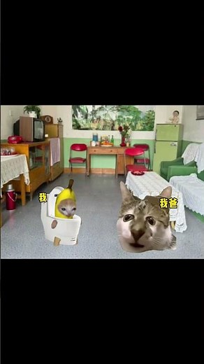 小时候很调皮 #猫meme #鬼畜 #猎奇 #热血