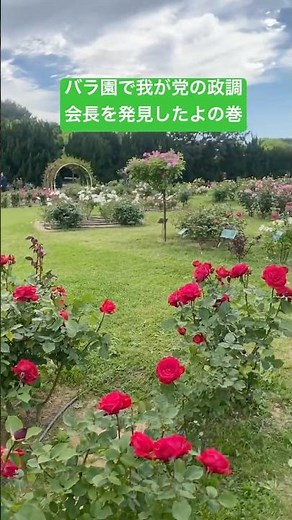【福岡市オススメスポット紹介】海の中道海浜公園は桜ネモフィラだけじゃない🌹