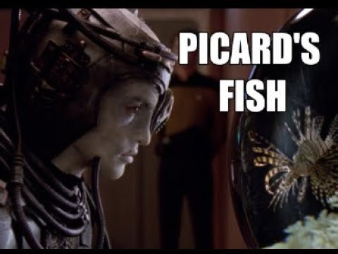 Captain Picard's Lionfish Livingston