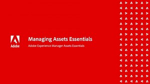 AEM Assets Essentials の基本を学ぶ | Adobe Experience Manager