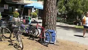 Band scramble | The Strawberry Music Festival