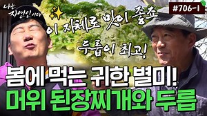 이게 진짜 순수한 맛 어머니가 끓여주던 흙내음 가득한 머위 된장찌개｜자연인 다시보기 706-1