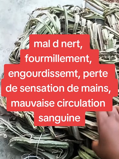 solution définitive contre tout problème de nert disponible chez GreenLife