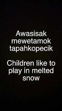 Learn Plains Cree Language & Culture
