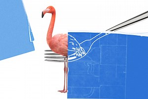 Can You Eat a Flamingo? And Why Do So Many People Apparently Want to Know?