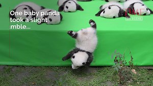 1M views · 26K reactions | In honor of National Panda Day, here's a...